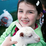 sharathon-events-petting-zoo
